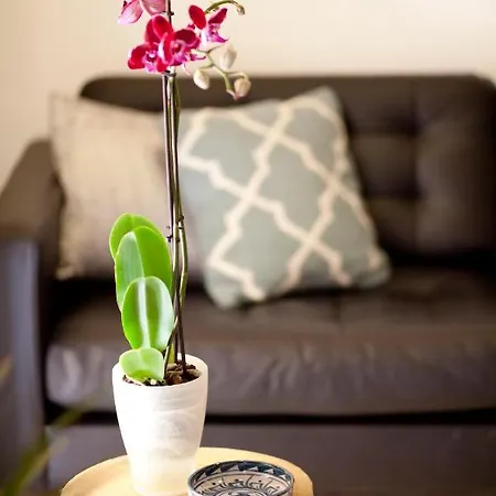 Apartment Authentic Charming Apartment/wifi/air Conditioning *