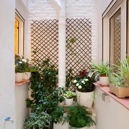 Authentic Charming Apartment/wifi/air Conditioning Appartement *