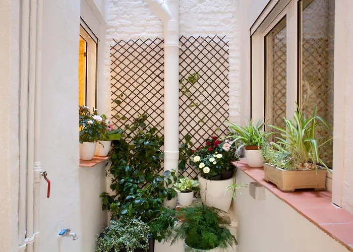 Authentic Charming Apartment/wifi/air Conditioning Apartament *